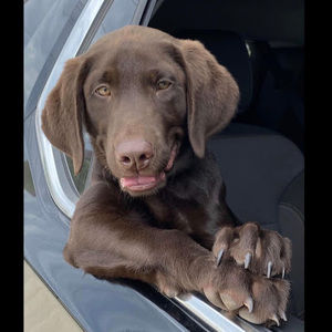 Meet your Posher, Jadeyn